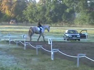 justine dressage club 1
