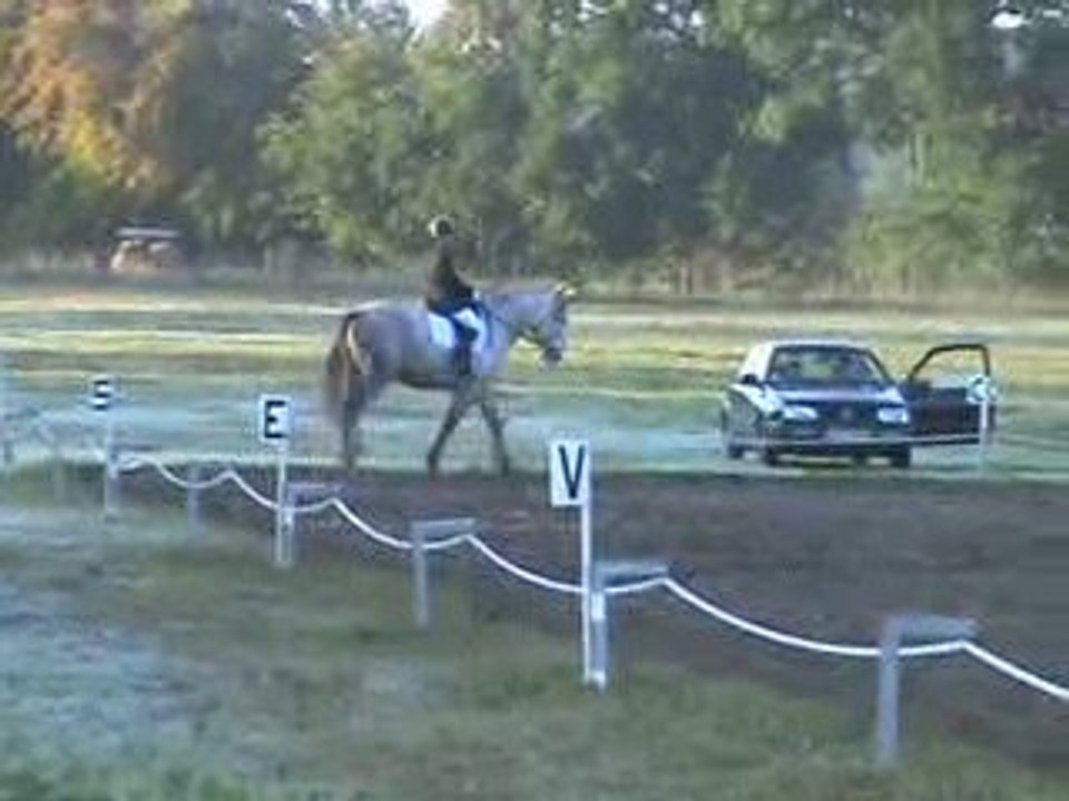 justine dressage club 1