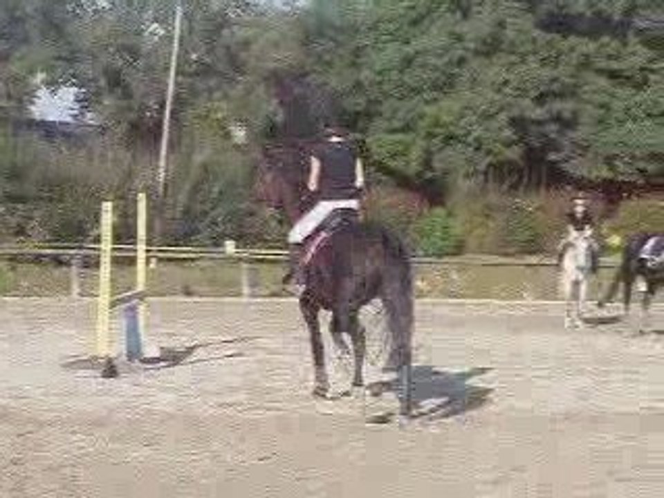 Ecureuil & Moi