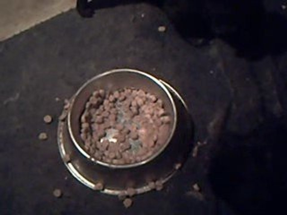 la premiere gamelle a manger avec mes soeurs