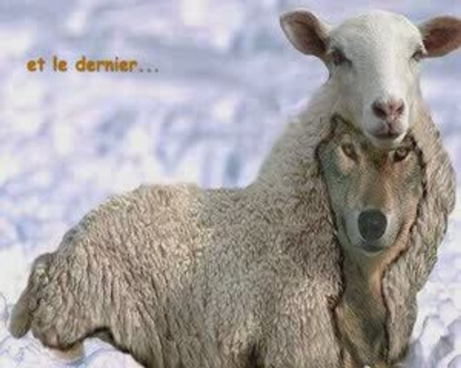 Affaire de Famille