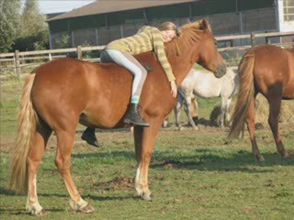 Flicka De Thimougies <3