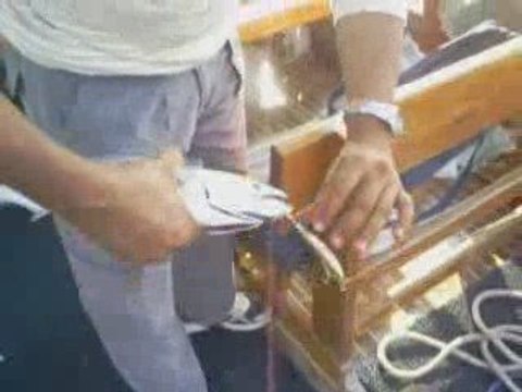 KUŞADASI BALIK AVI - BARBAROS TEKNESİNDEN SIRTI