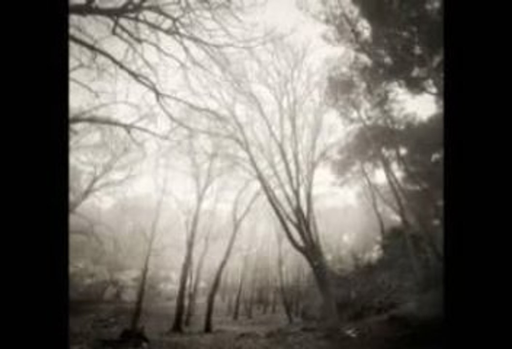 Asylum Party - the sabbath