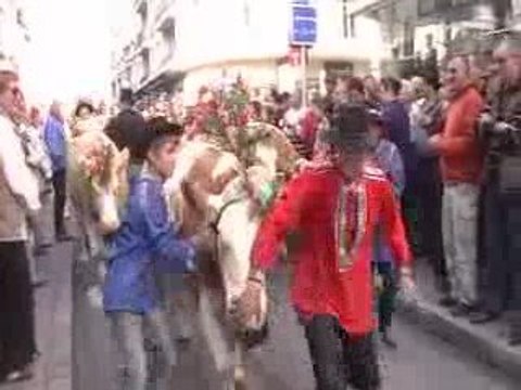 Le Retour des Alpages Festival Annecy 10-09