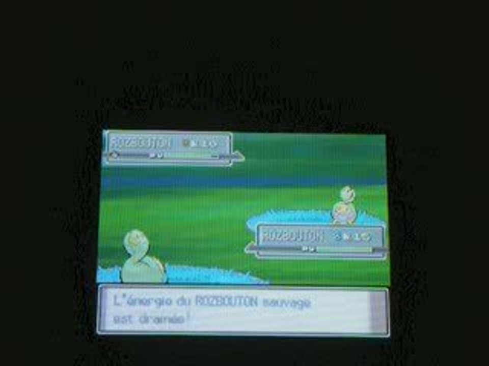 Rozbouton shiney, mon 23e shiney !