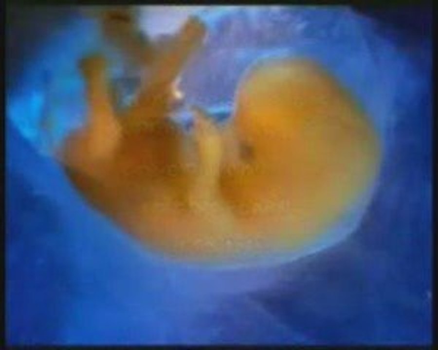 4/4 Les Miracles Scientifiques Du Coran