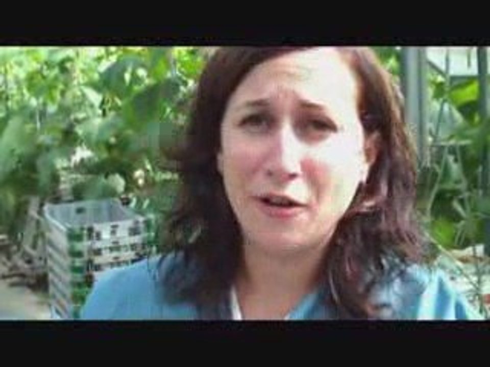 Visite des serres Savoura