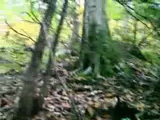 Standing Cliffside Autumn Scenery WV Waterfalls