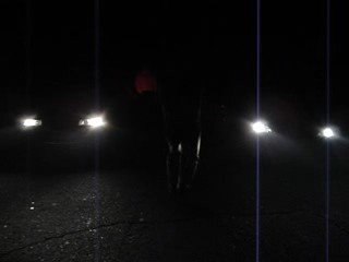 14 Noiembrie 2008 057