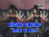 Arini Vitaloka -Indah Parlina- Kucing Garong