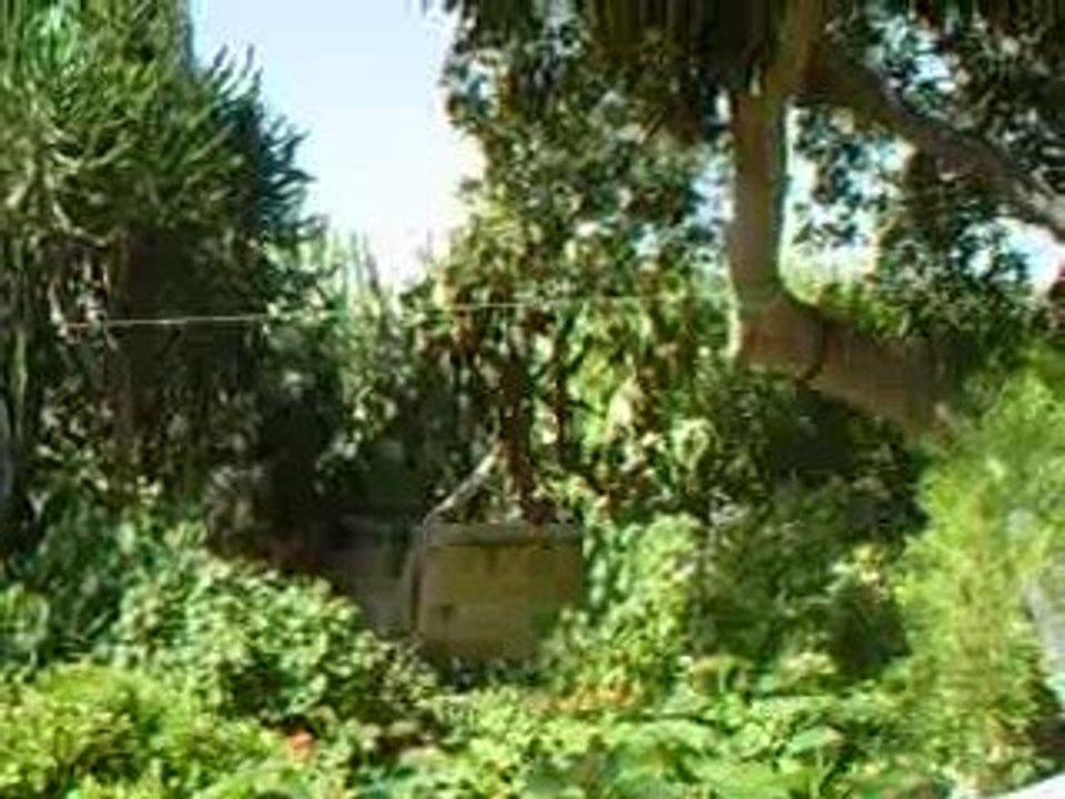 croisieres medi 09 009