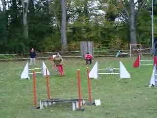 Concours sarreguenmines GPF Dixie