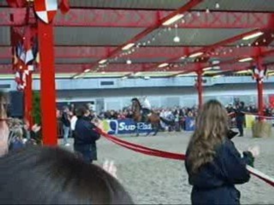 voltige