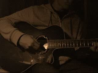 Cocoon - Baby seal (cover)