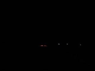 21 Noiembrie 2008 016