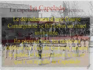 La Course Camarguaise