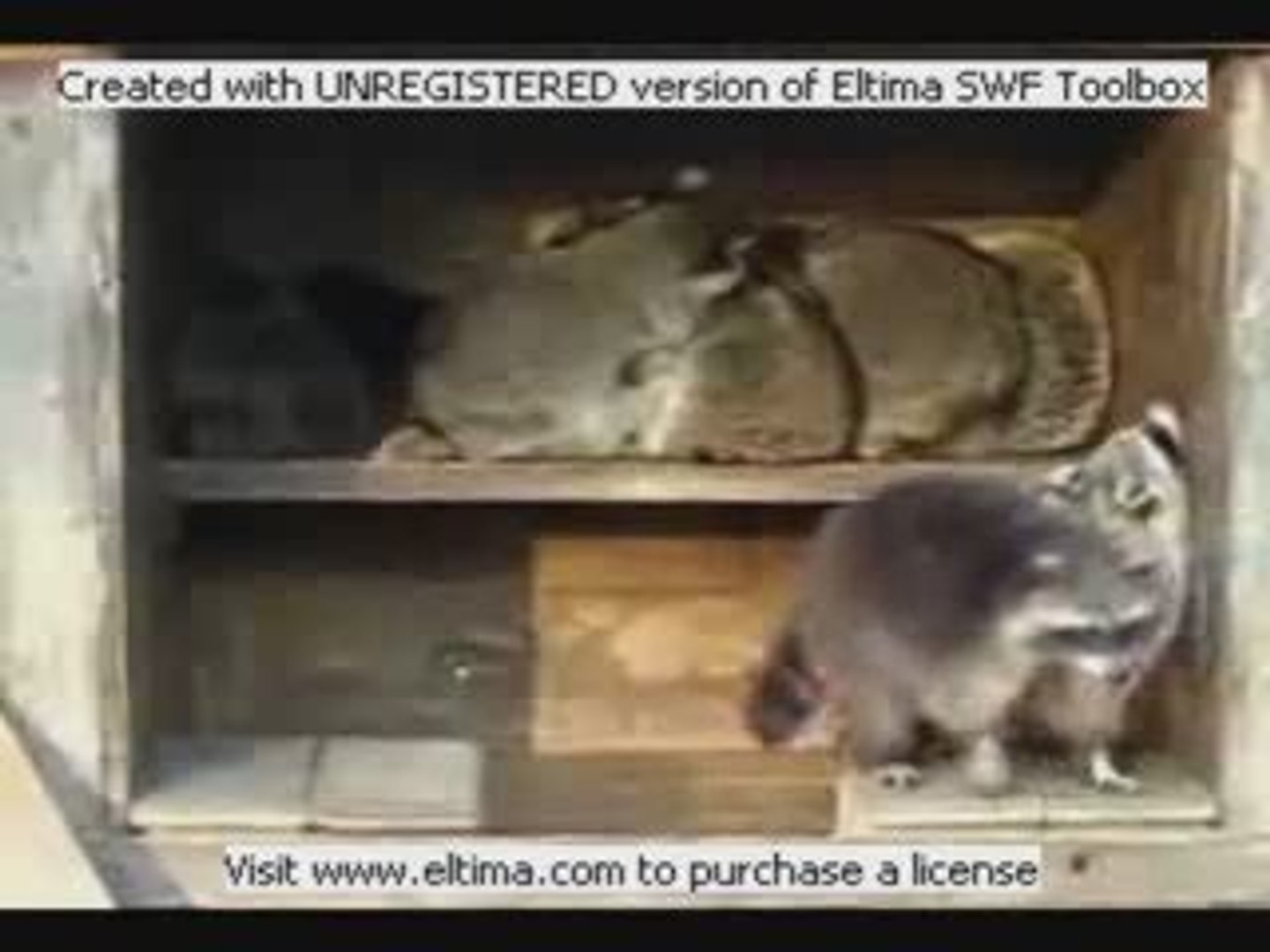⁣Вася! Выдыхай