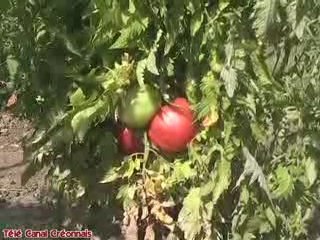 Les bonnes recettes de Nelly