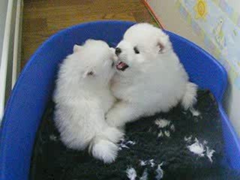 Eva et Eiyù des Légendes de Yuki Onna