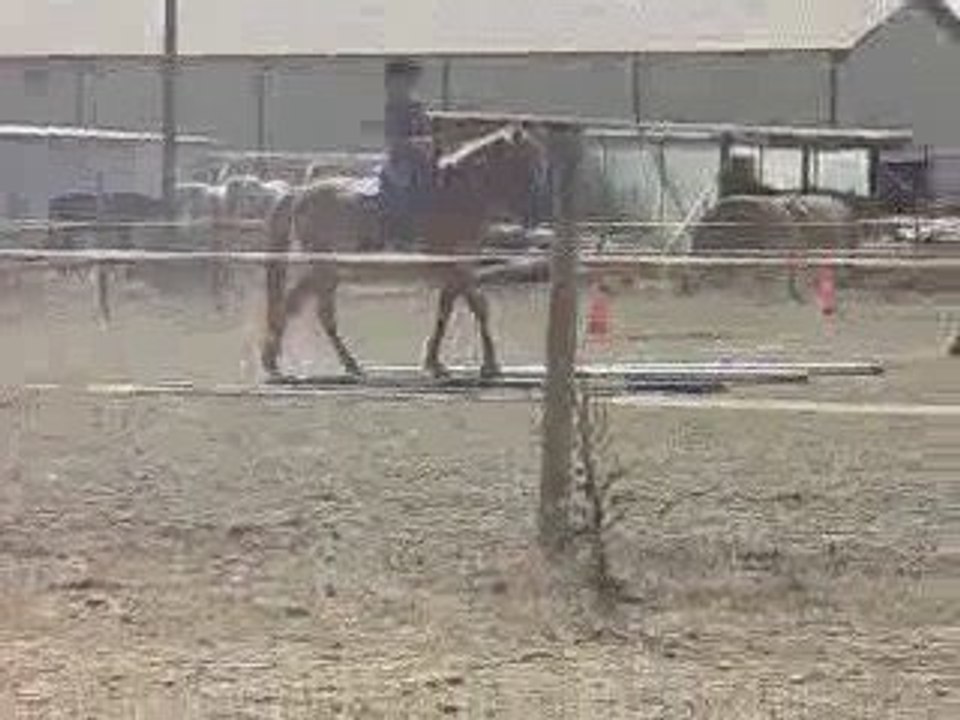 Cycy attaque l'équitation