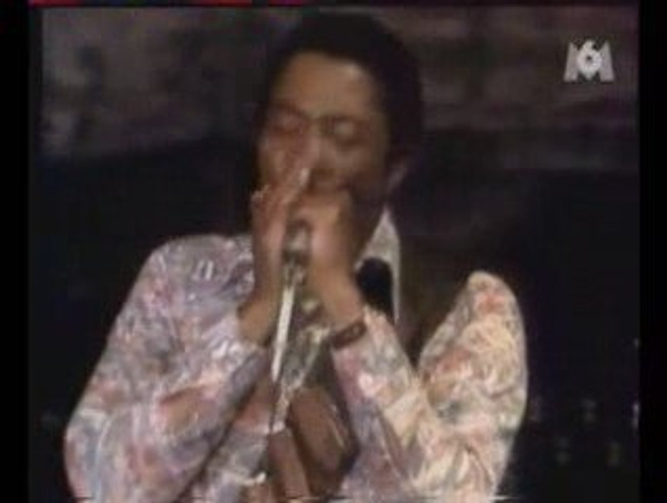 Muddy Waters - I'M A KING BEE