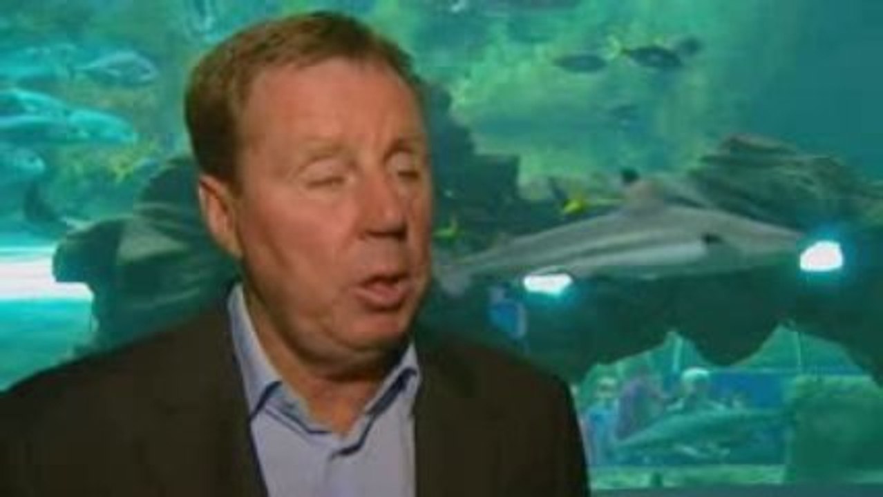 REDKNAPP - Spurs boss discusses Muntari and Pav rumours