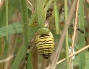 Histoires De Mantes (2)