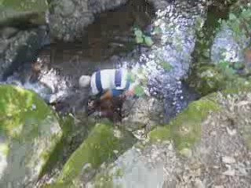 Philippe cherche .....