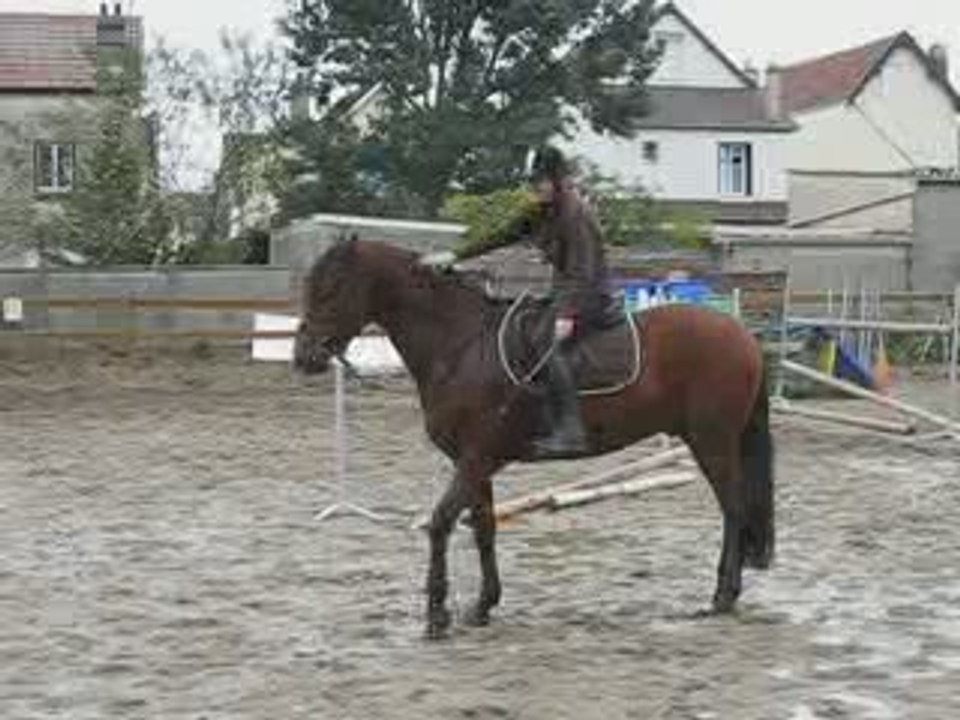 jambette lusi
