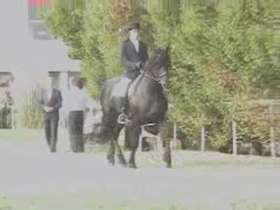 YK Odin Van Herbricht