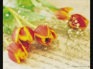 Kutsi   Cengiz Kurtoglu