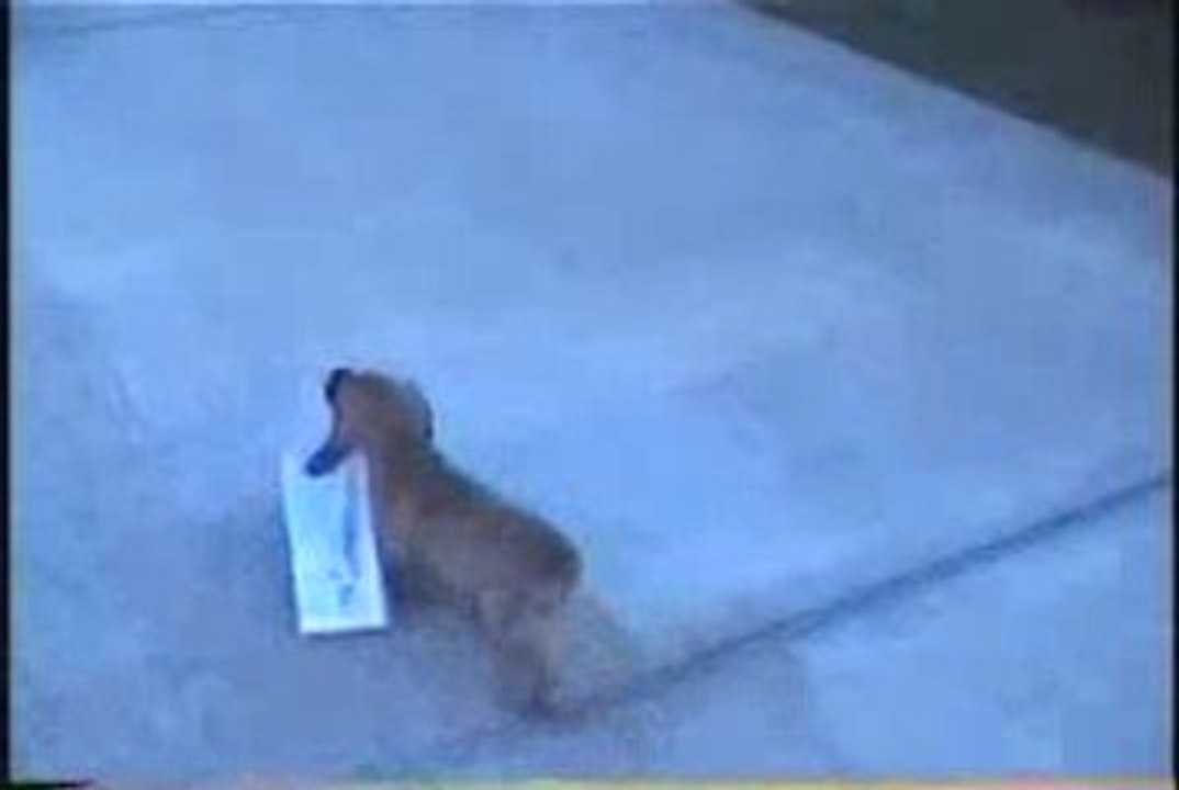 W On The Run
