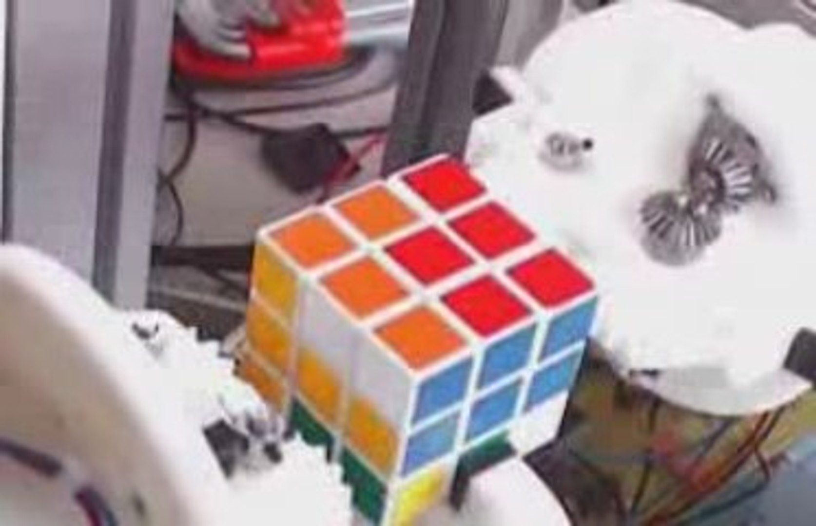 ⁣Resolve o cubo e fala francês!