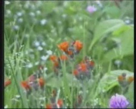 2/4 Les Miracles Scientifiques Du Coran