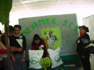 stands-Quehacer Académico 2007