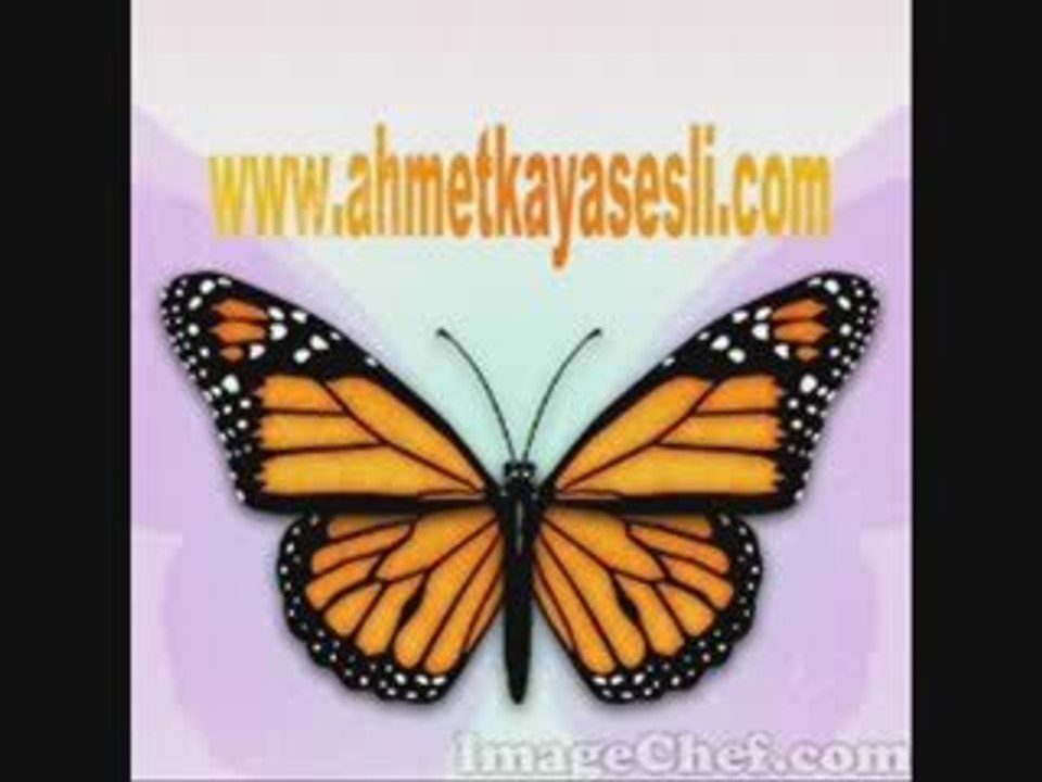 Keça Kurdan aynur doğan - WwW.AhmetKayaSesli.CoM AMED-SOZDAR