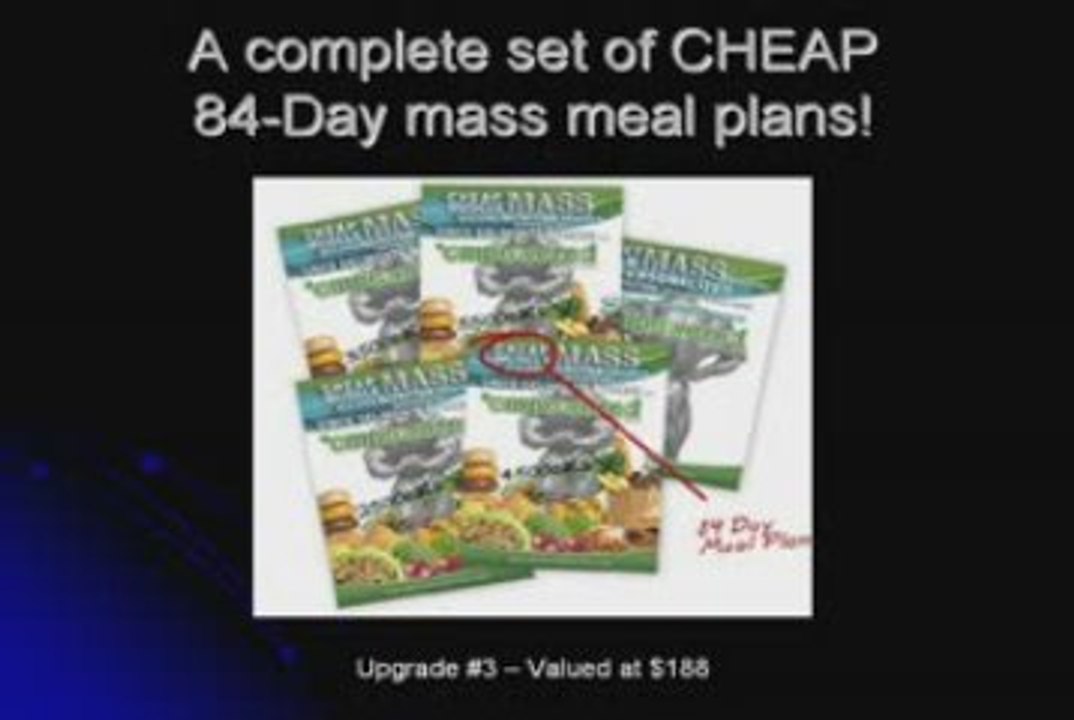 No Nonsense Muscle Building Program Explained - Deluxe Gold