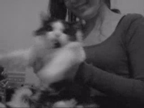 Agnieszka Chylińska - Nie mogę Cię zapomnieć {alterteledysk}