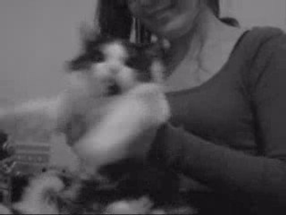 Agnieszka Chylińska - Nie mogę Cię zapomnieć {alterteledysk}