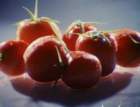 Introduction Court métrage ile aux fleurs