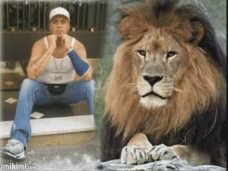 don & chbe khaled beldi rap