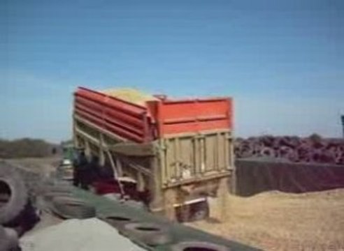 Ensilage de maïs 2009.