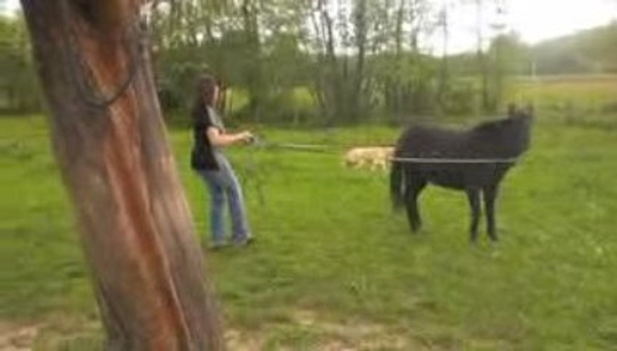 Aprem chez Emna avec Neptune , Polo & Sacha Alix & Estelle