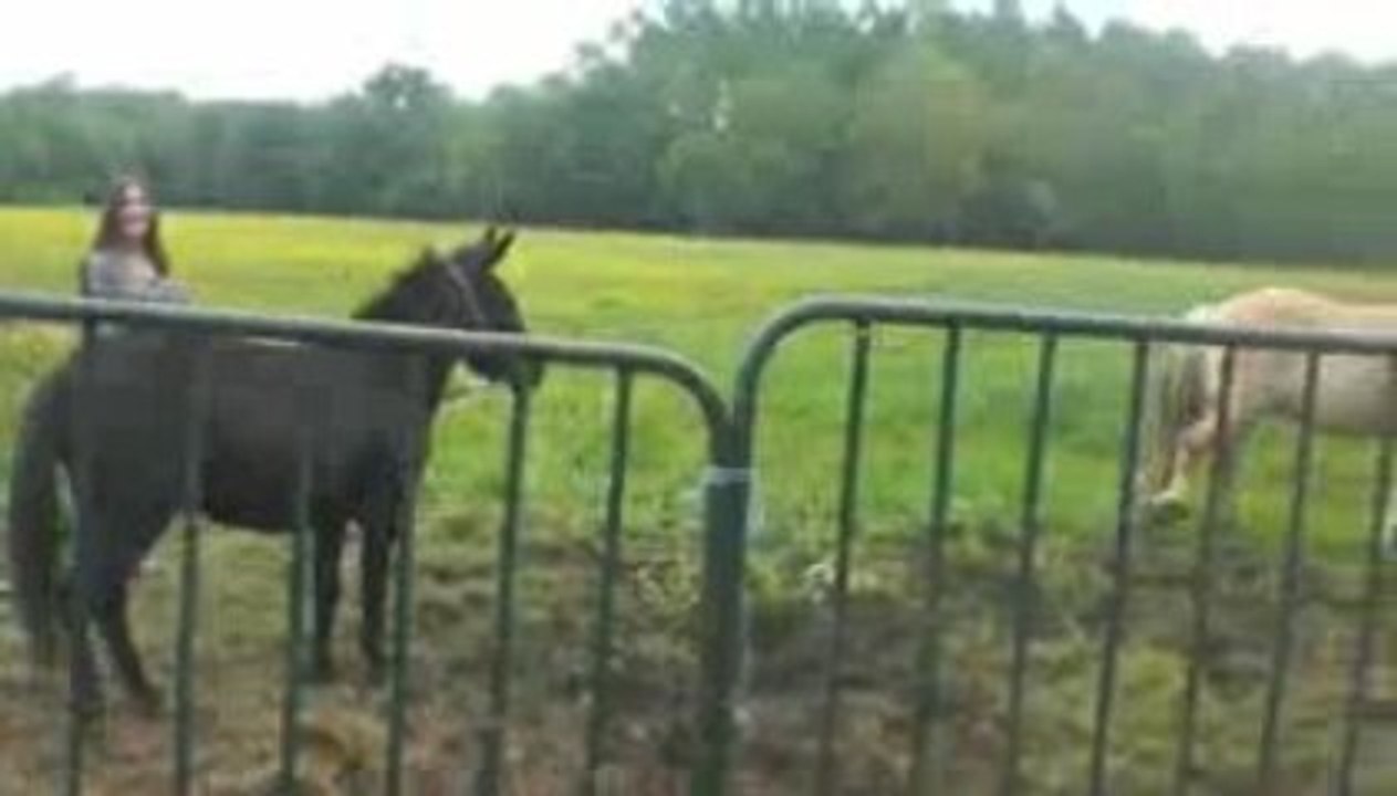 Aprem chez Emna avec Neptune , Polo & Sacha Alix & Estelle