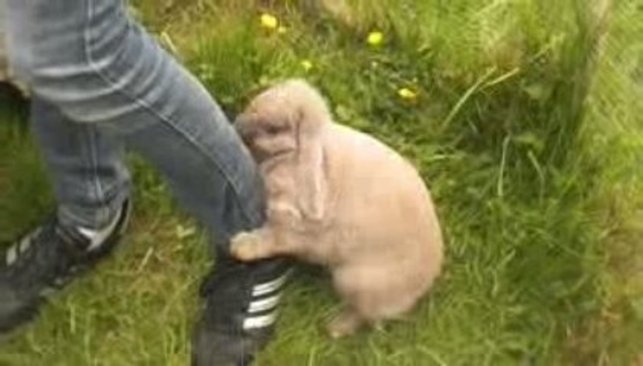 Aprem chez Emna avec Neptune , Polo & Sacha Alix & Estelle