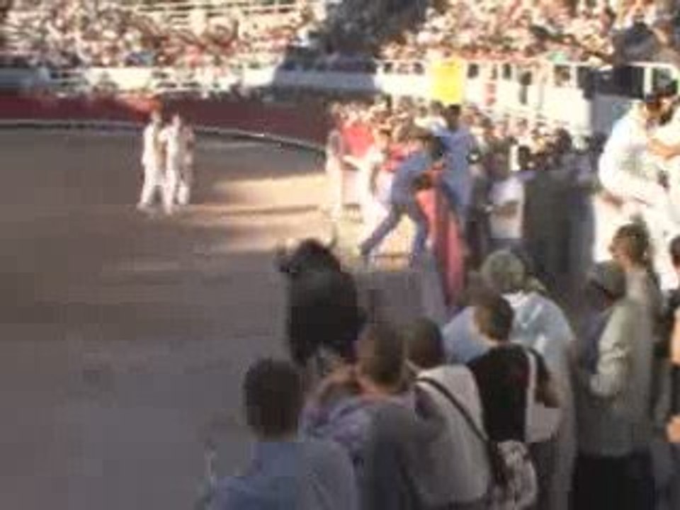 Course Camarguaise : 58ème Finale du Trophée des As (Arles)