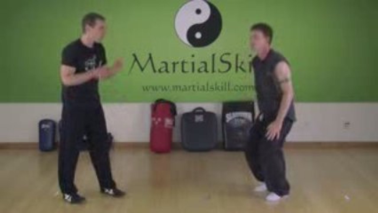 7 Star Mantis Kung Fu: Double Raised Hooks