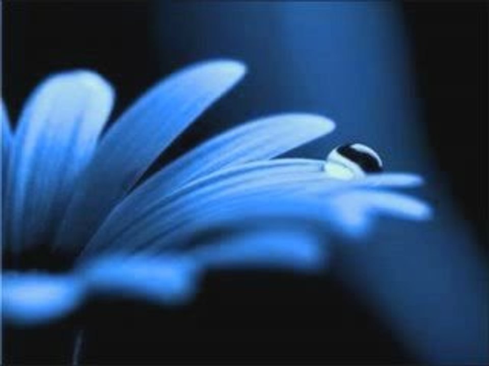 Infiniment Bleu