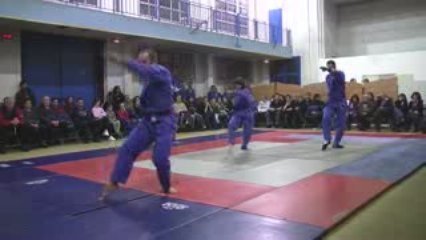 Vovinam Viet Vo Dao Les Lilas - arts martiaux vietnamiens